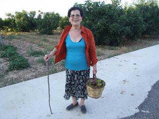 Immagine allegata alla scheda. Per averne una descrizione leggere i dettagli più in basso.